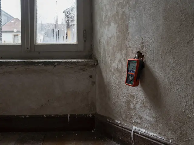 Feuchte Wände im Altbau: Ursachen und wie Sie richtig sanieren