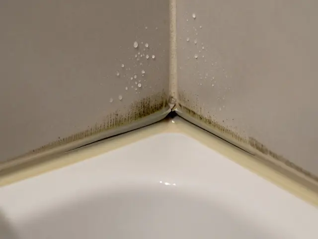 Silikonfugen reißen: Ursachen und wie Sie sie richtig neu verfugen