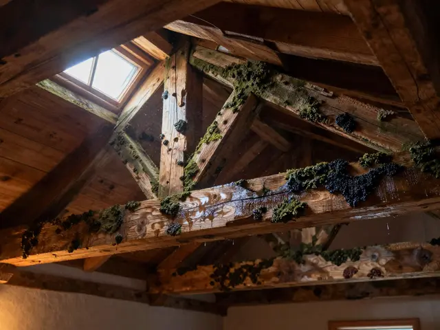 Schimmel im Dachboden: Lüftung und Dämmung prüfen - Der umfassende Leitfaden 2026