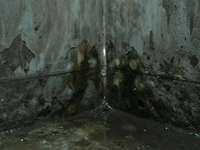 Drainagesystem für trockene Keller: Planung, Einbau und Kosten im Überblick